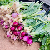 Bull Creek Organics Garlic