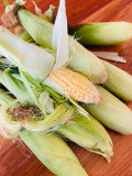 Corn1