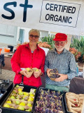 Food Forest Organic Farmers