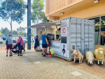 New Information Stand
