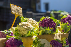 Fresh Seasonal Cauliflower
