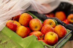 Fresh Seasonal Applies
