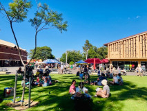 OutsideMarketGrass1
