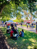 OutsideMarketTrees