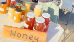 SA Biochar Honey