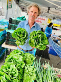 Cos Lettuce at the Veggie Basket