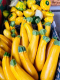 Yellow Squash and Zucchin