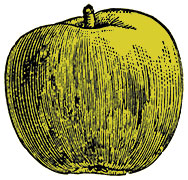 apple-188x180