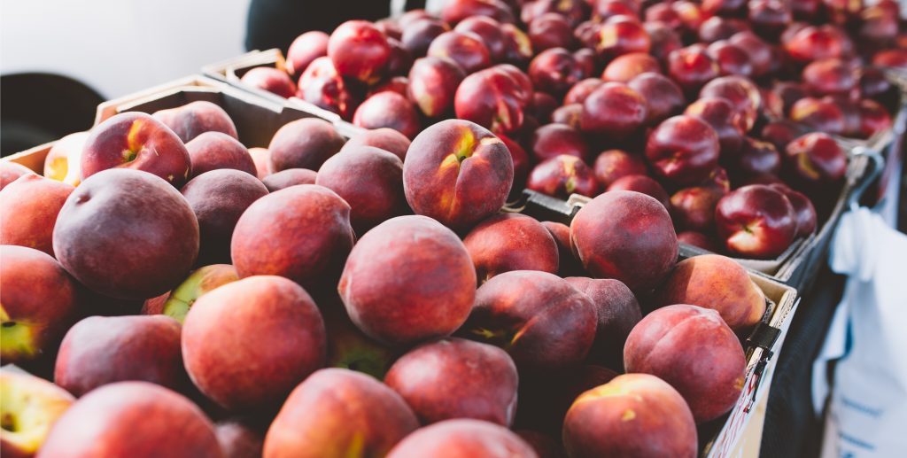 Eko Fruits Adelaide Showgrounds Farmers Market