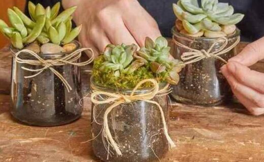 Kids Club Succulent Workshop