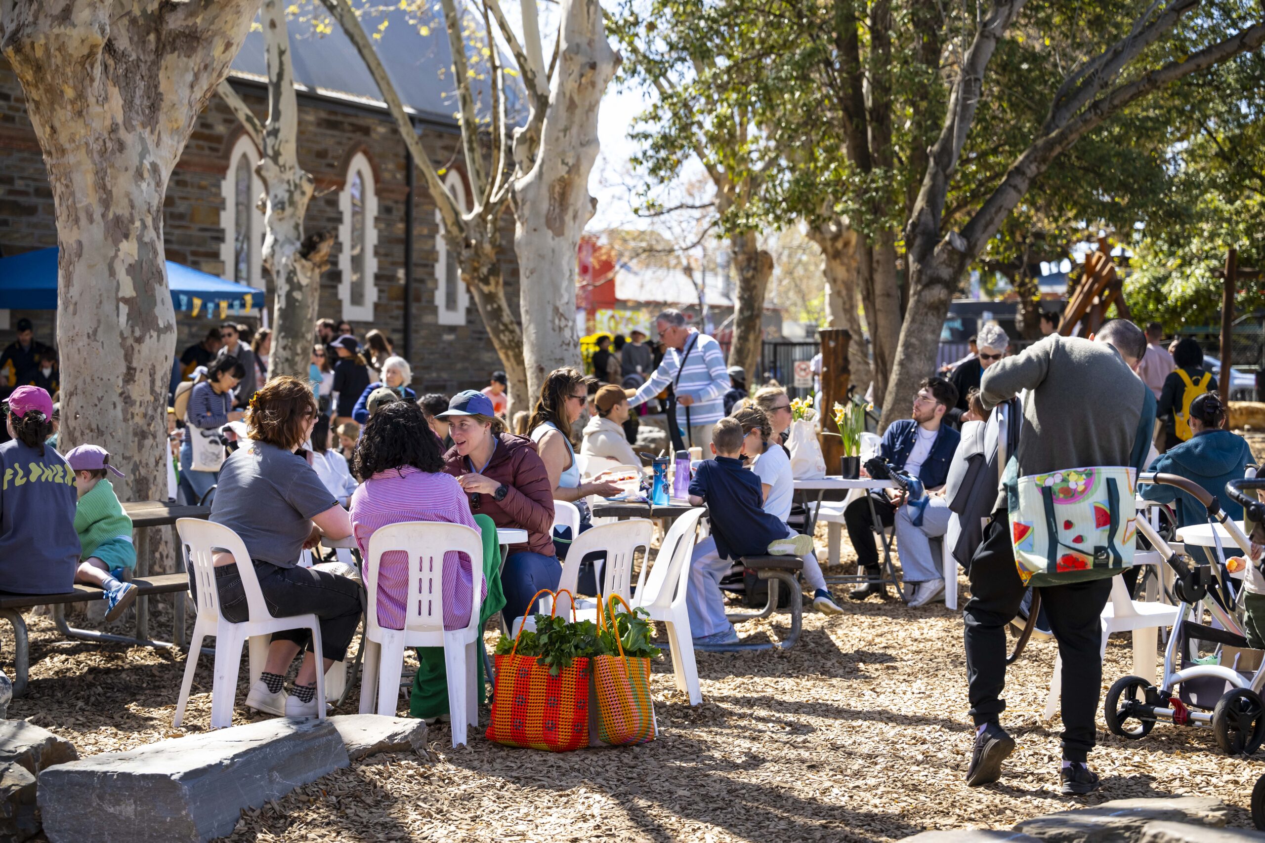 Families and shoppers gather under large shady trees at a community pop up farmers’ market at Goodwood Primary School, enjoying breakfast, coffee and local produce in a relaxed outdoor setting.