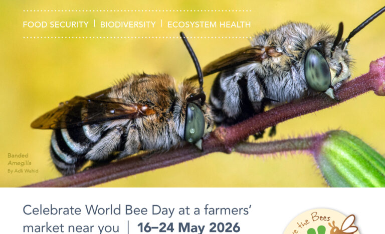 Close up image of two native banded Amegilla bees resting on a plant stem against a soft yellow background, with the text “We need bees” and messaging promoting World Bee Day at farmers’ markets from 16–24 May 2026. Logos for the Australian Farmers’ Markets Association and Wheen Bee Foundation appear at the bottom.